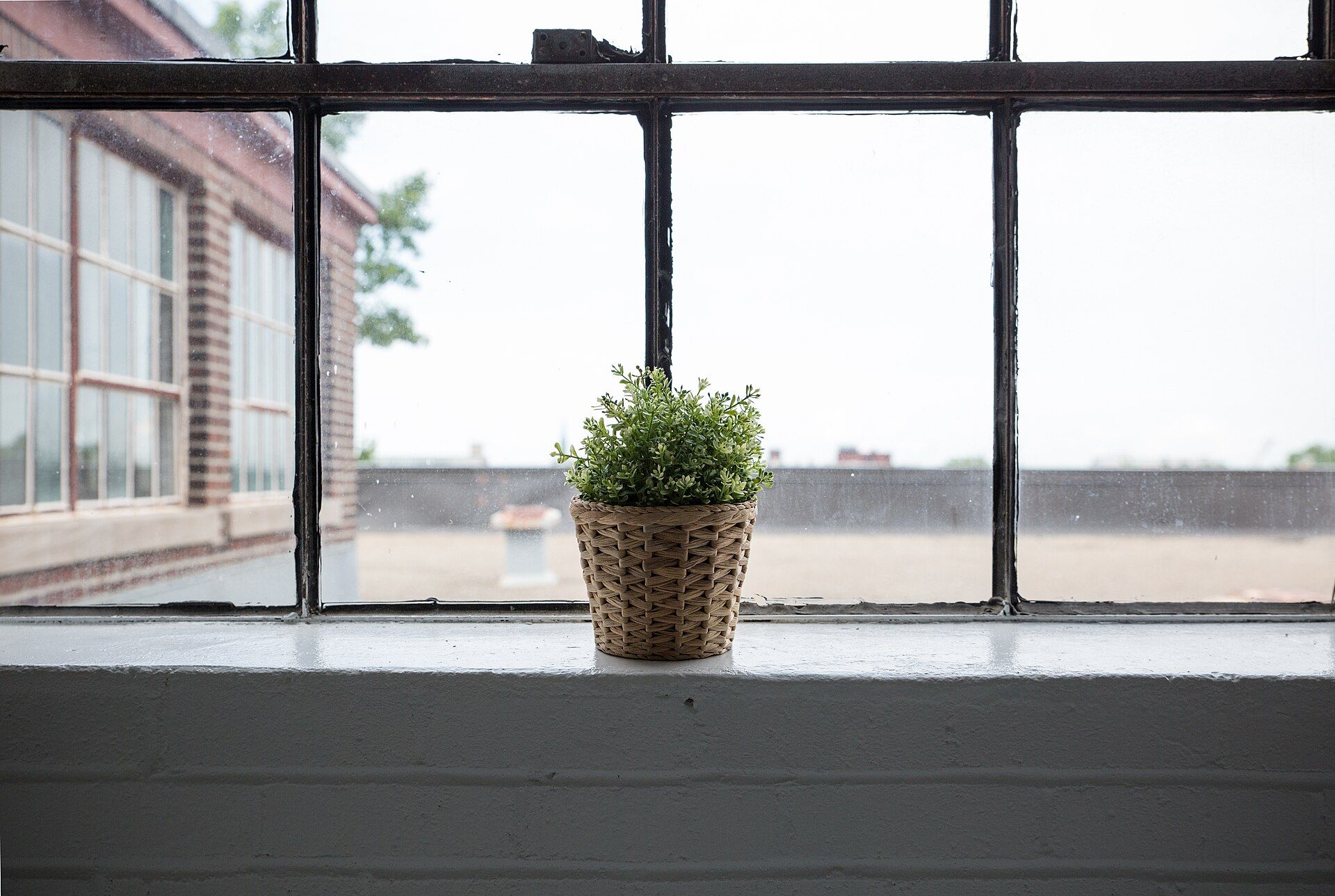 Una maceta con una planta pequeña sobre el alféizar de una ventana grande, con luz natural.